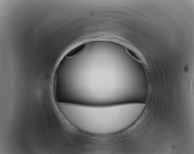 X0000103451530200809121113