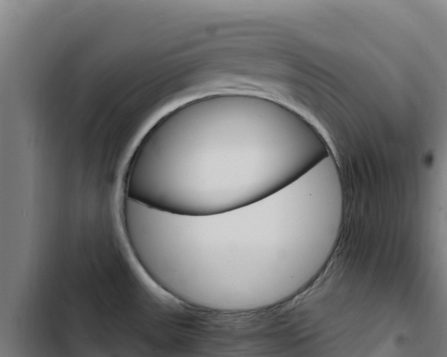 X0000103451531200809121113