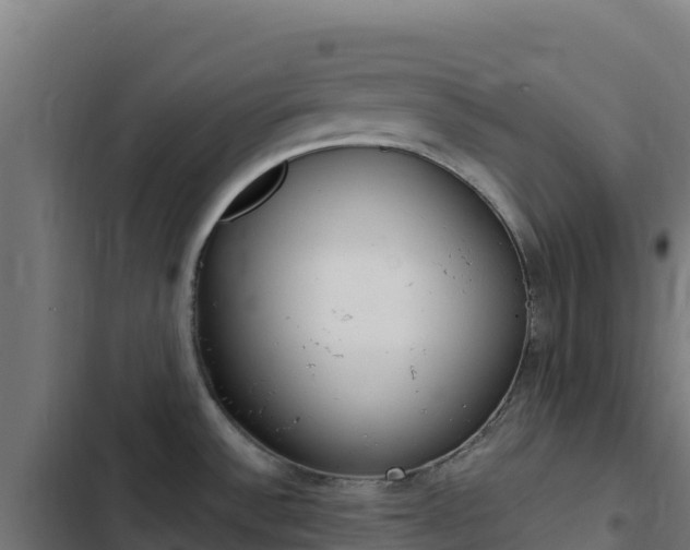X0000103451532200809121113