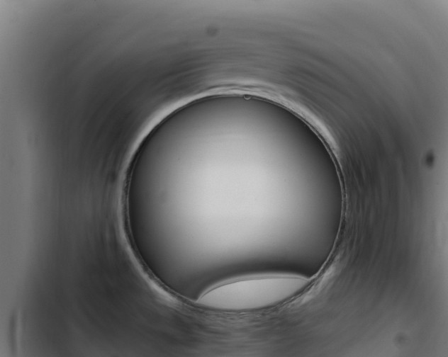 X0000103451533200809121113