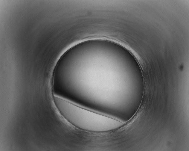 X0000103451534200809121113