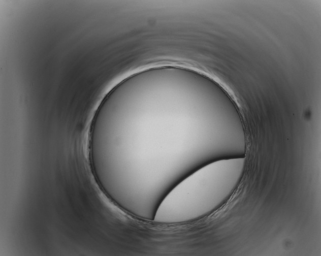 X0000103451535200809121113