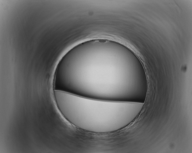 X0000103451536200809121113