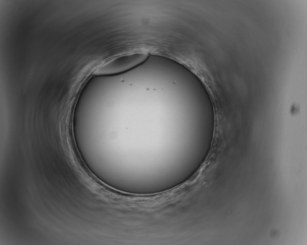 X0000103450001200809121439