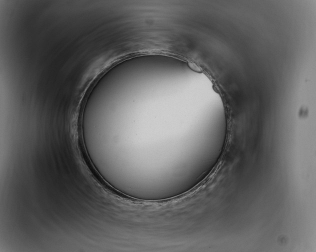 X0000103450002200809121439