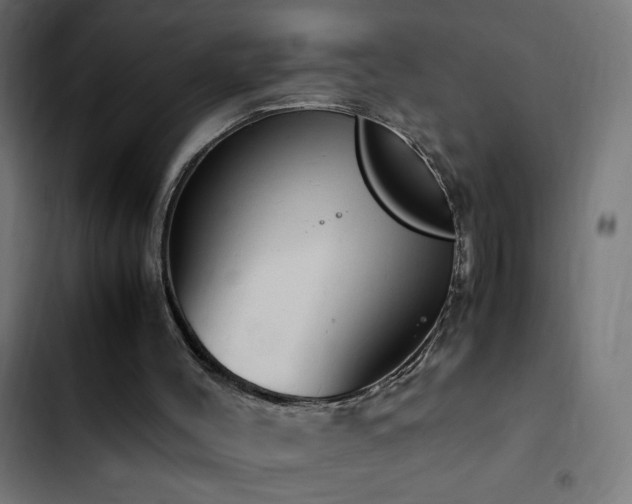 X0000103450004200809121439