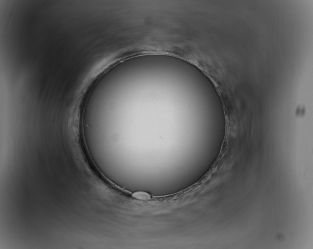 X0000103450005200809121439