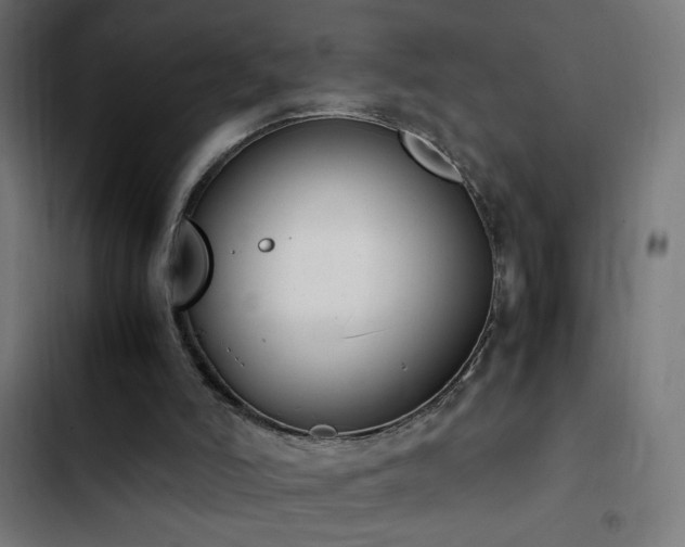 X0000103450006200809121439