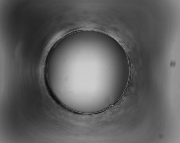 X0000103450007200809121439