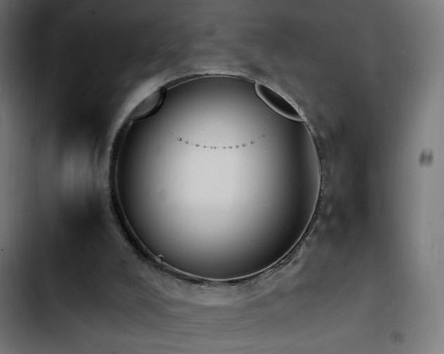 X0000103450008200809121439