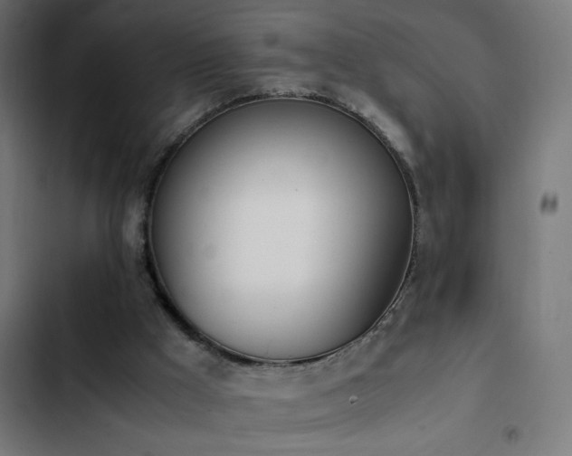 X0000103450009200809121439