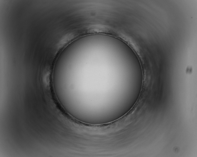 X0000103450010200809121439