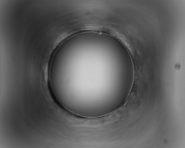 X0000103450011200809121439
