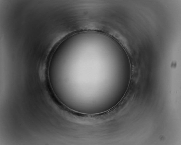 X0000103450012200809121439