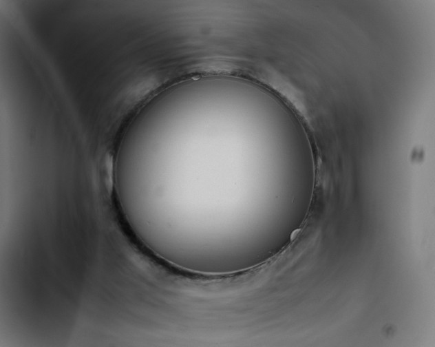 X0000103450013200809121439