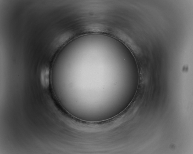 X0000103450014200809121439