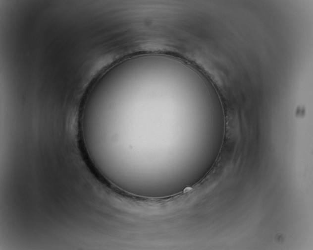 X0000103450015200809121439