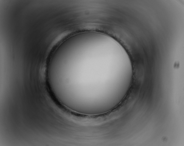 X0000103450016200809121439