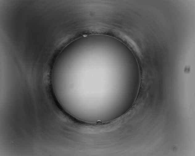 X0000103450017200809121439