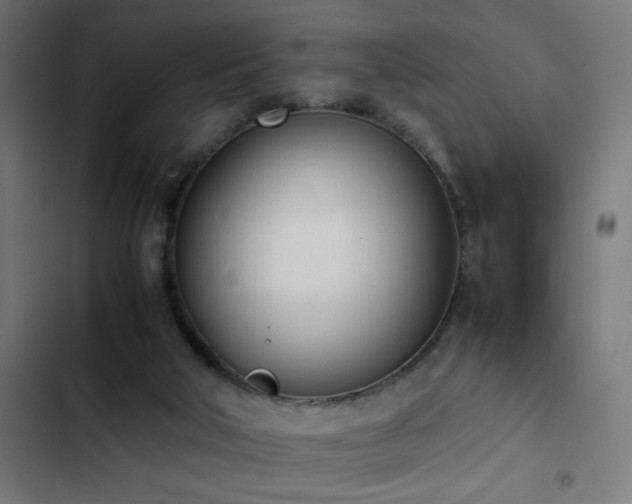 X0000103450018200809121439