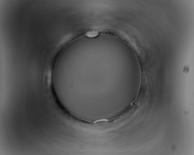 X0000103450019200809121439