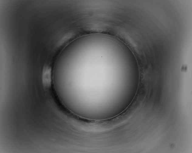 X0000103450020200809121439
