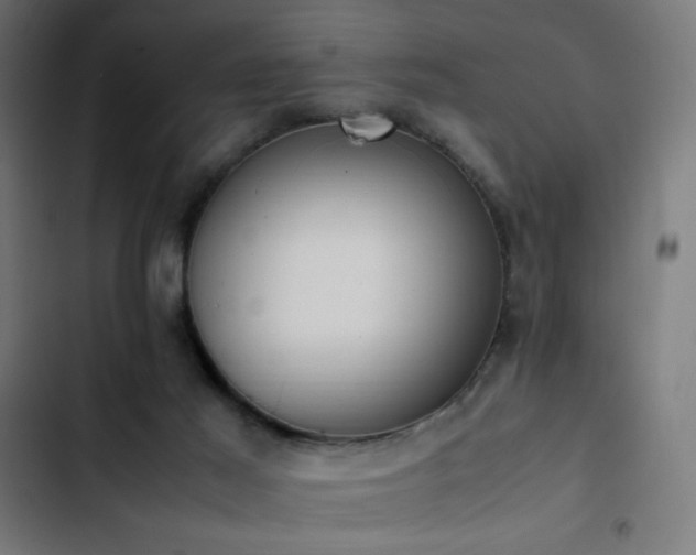 X0000103450021200809121439