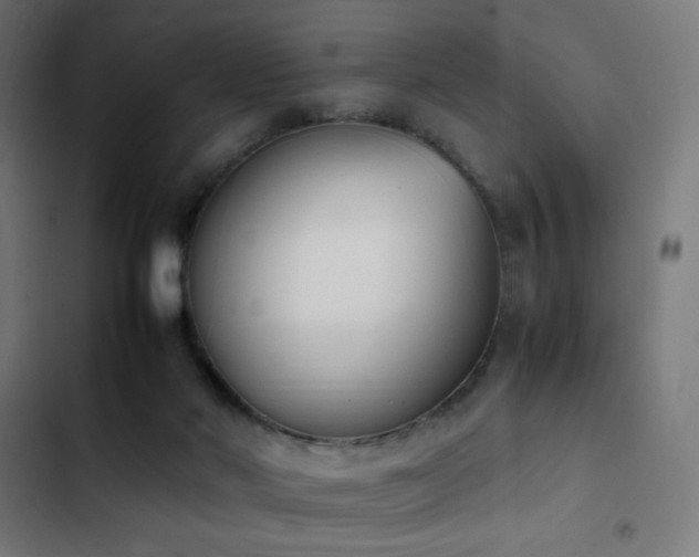 X0000103450022200809121439