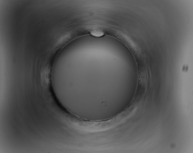 X0000103450023200809121439