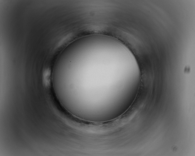 X0000103450024200809121439