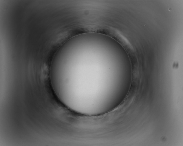 X0000103450025200809121439