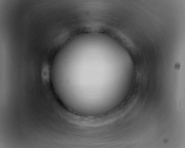 X0000103450026200809121439