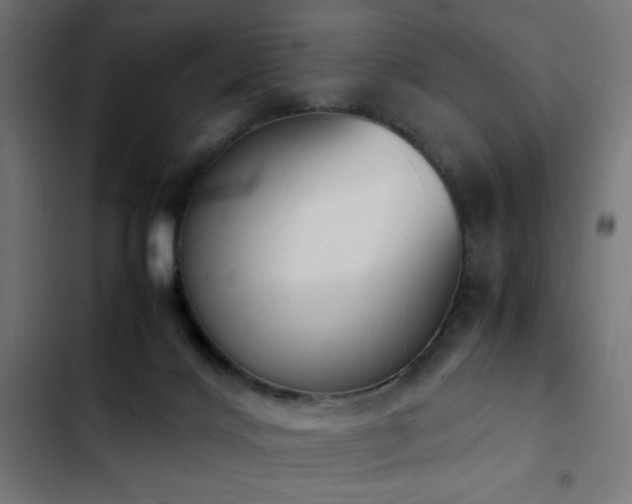 X0000103450028200809121439
