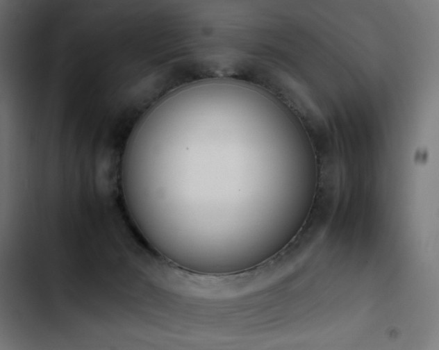 X0000103450030200809121439