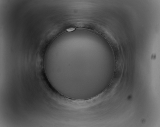 X0000103450031200809121439
