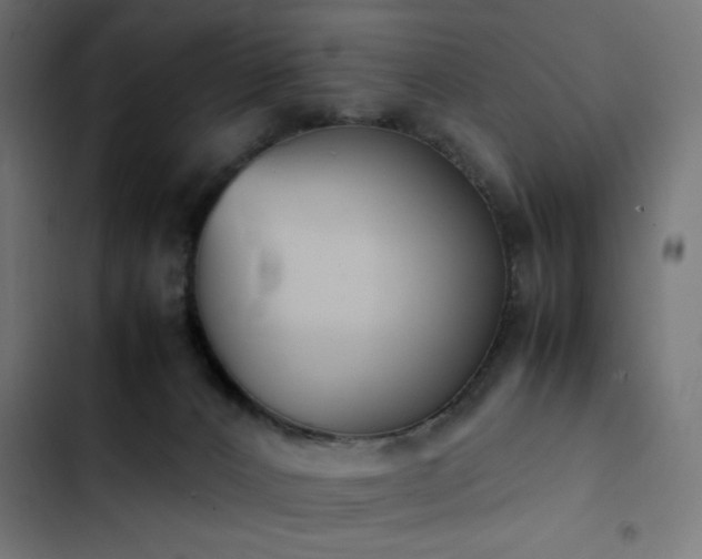 X0000103450032200809121439