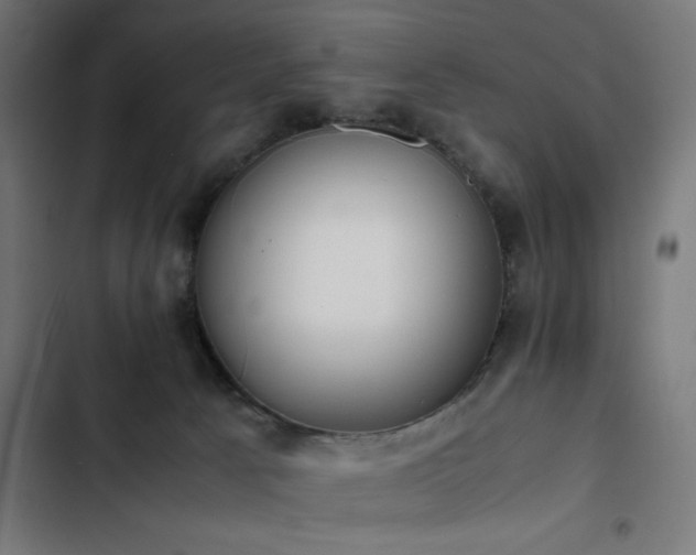 X0000103450033200809121439