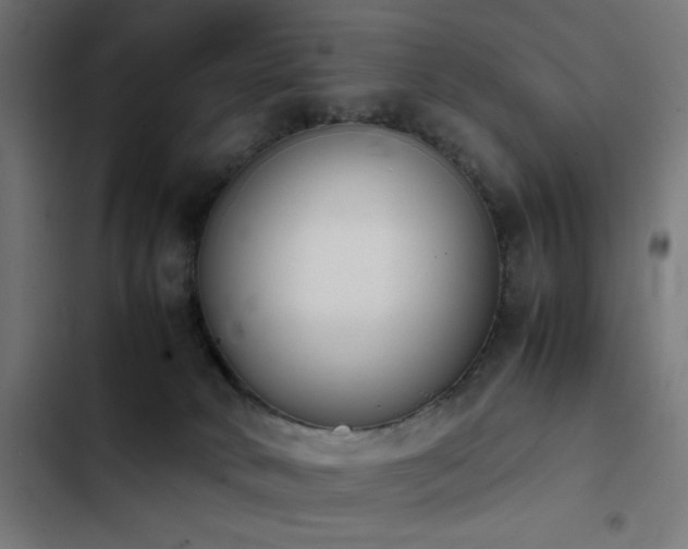X0000103450034200809121439