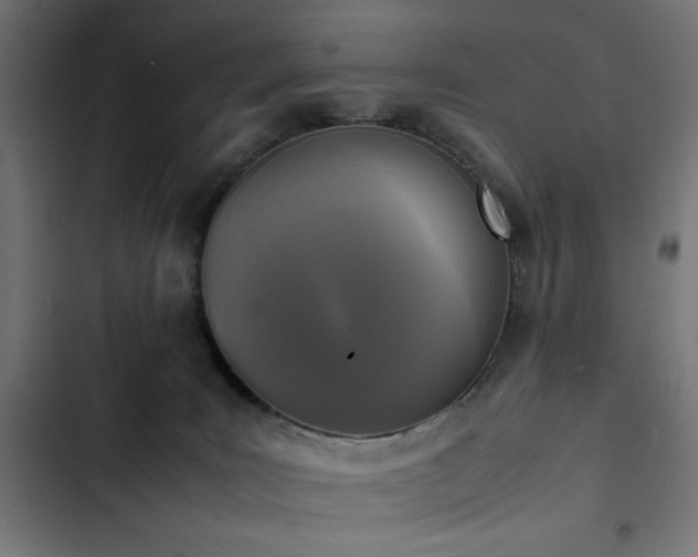 X0000103450035200809121439
