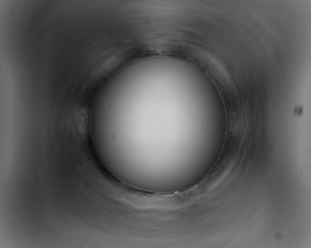 X0000103450036200809121439