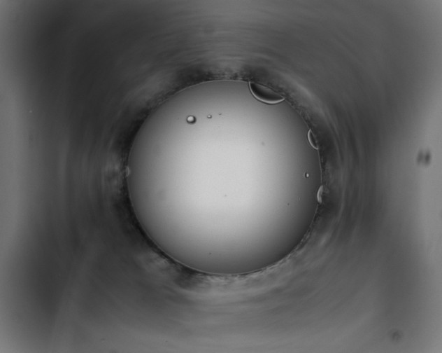 X0000103450037200809121439