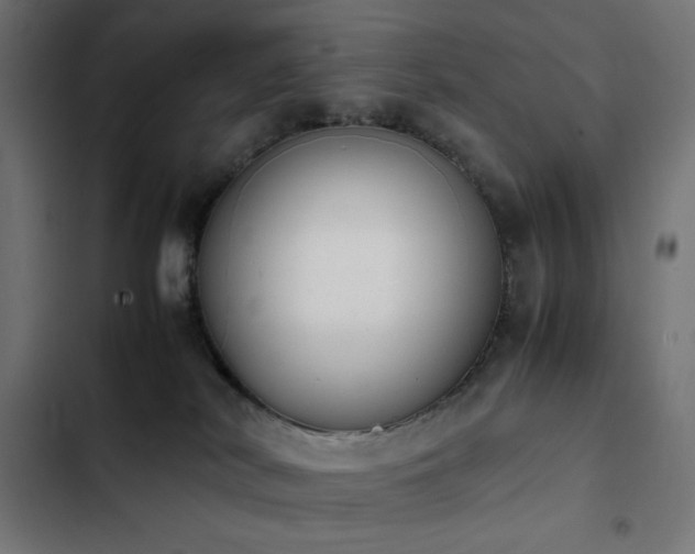 X0000103450038200809121438
