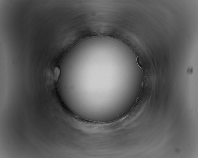 X0000103450040200809121438