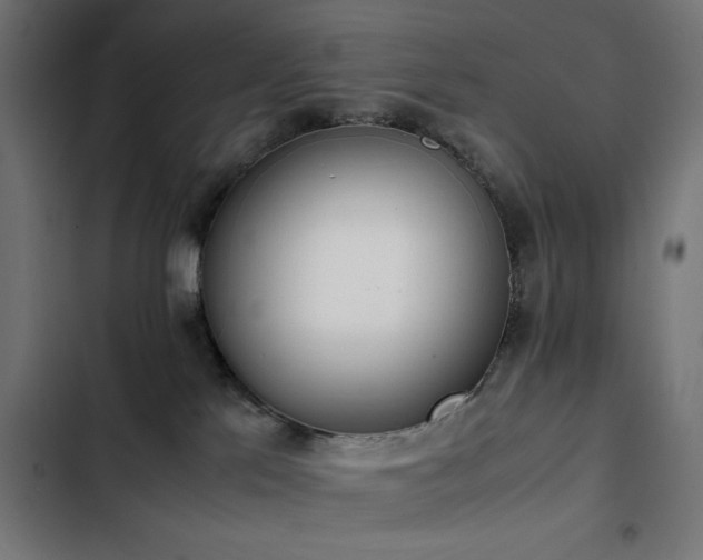 X0000103450041200809121438