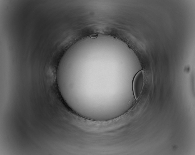 X0000103450043200809121438