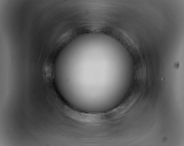 X0000103450044200809121438