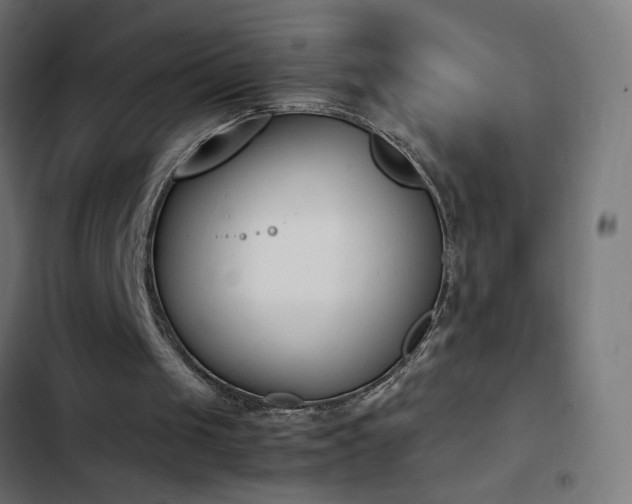 X0000103450049200809121438