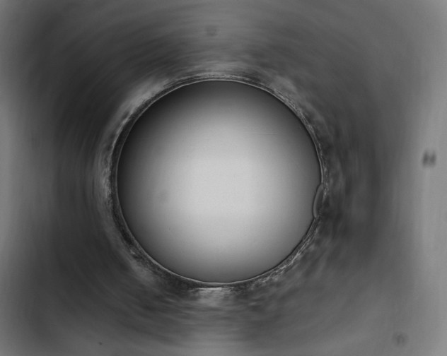 X0000103450050200809121438