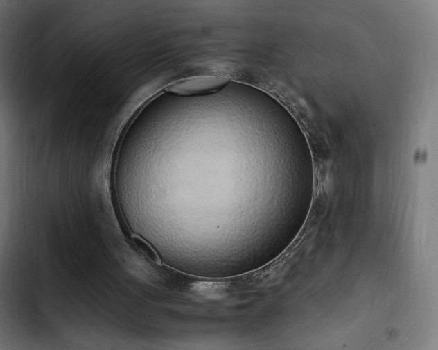 X0000103450051200809121438