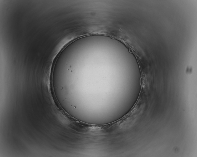 X0000103450052200809121438